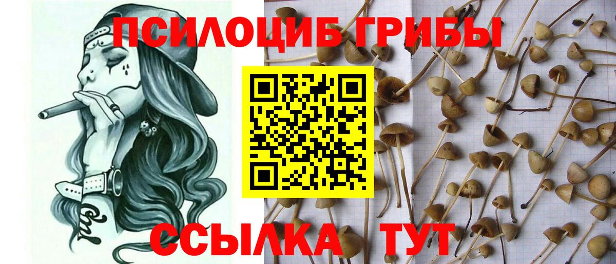 Галлюциногенные грибы мухоморы  Вход с VPN  Чистополь 