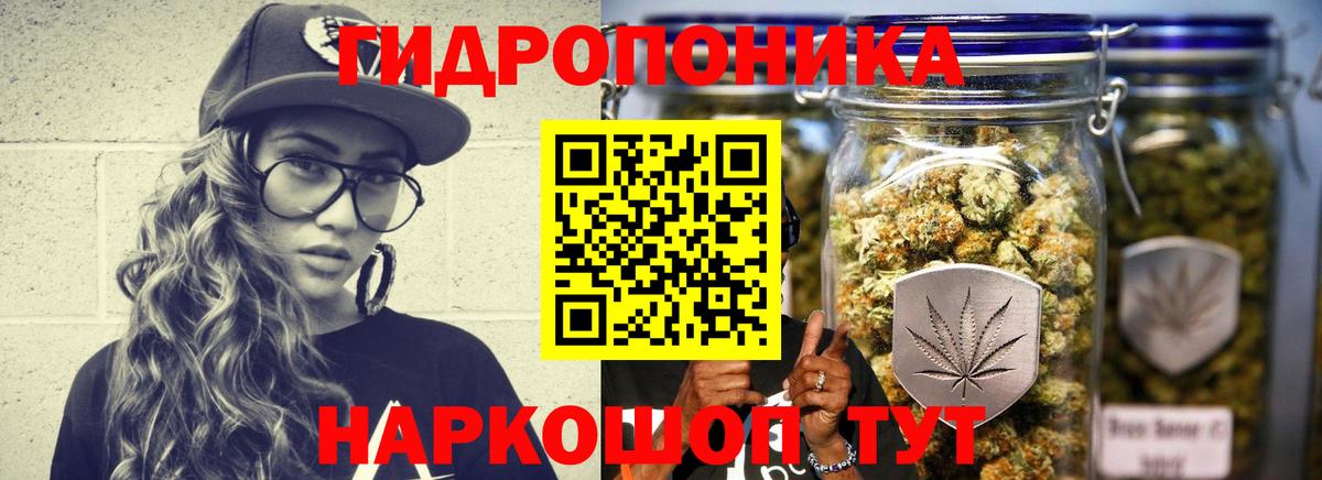 Бошки марихуана AK-47  Вход с VPN  МАРИХУАНА планчик  Чистополь  Марихуана планчик 